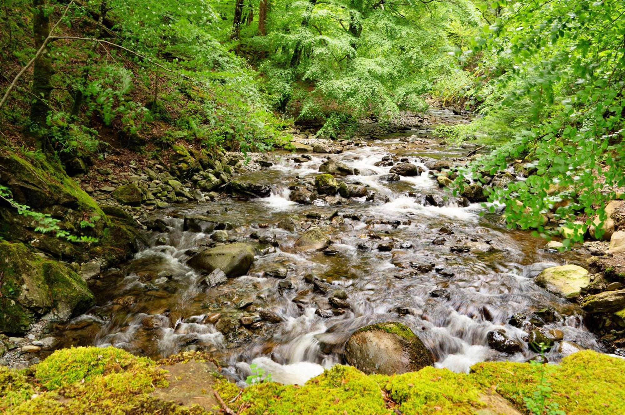 Finest Retreats - Hermon Bach Villa Dolgellau Bagian luar foto