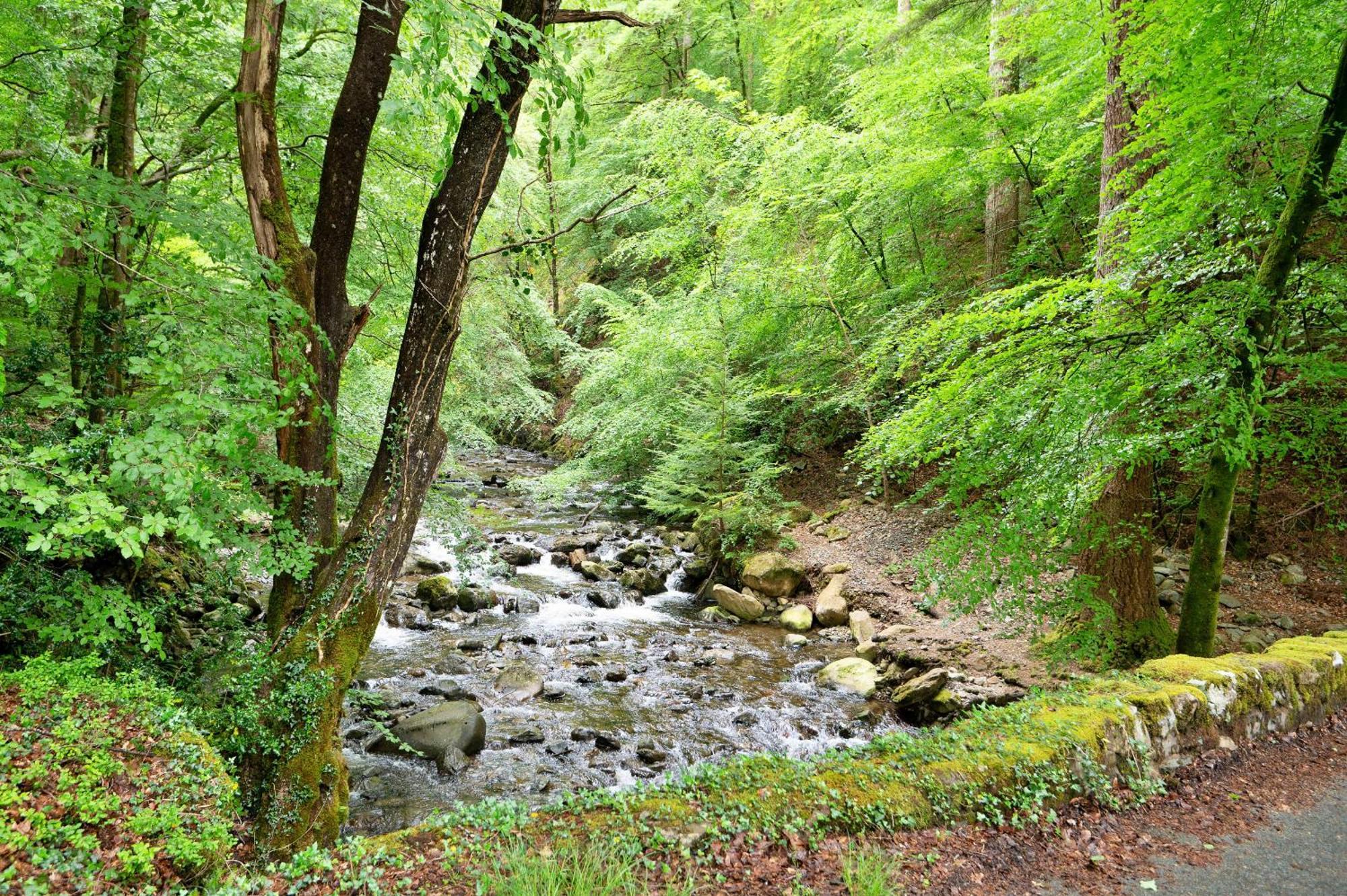 Finest Retreats - Hermon Bach Villa Dolgellau Bagian luar foto